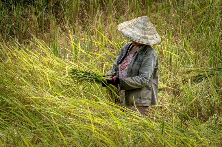 Embracing the Outdoors: A Journey to Self-Discovery